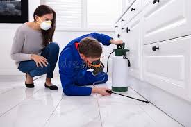 Best Indoor Pest Control  in Groveville, NJ